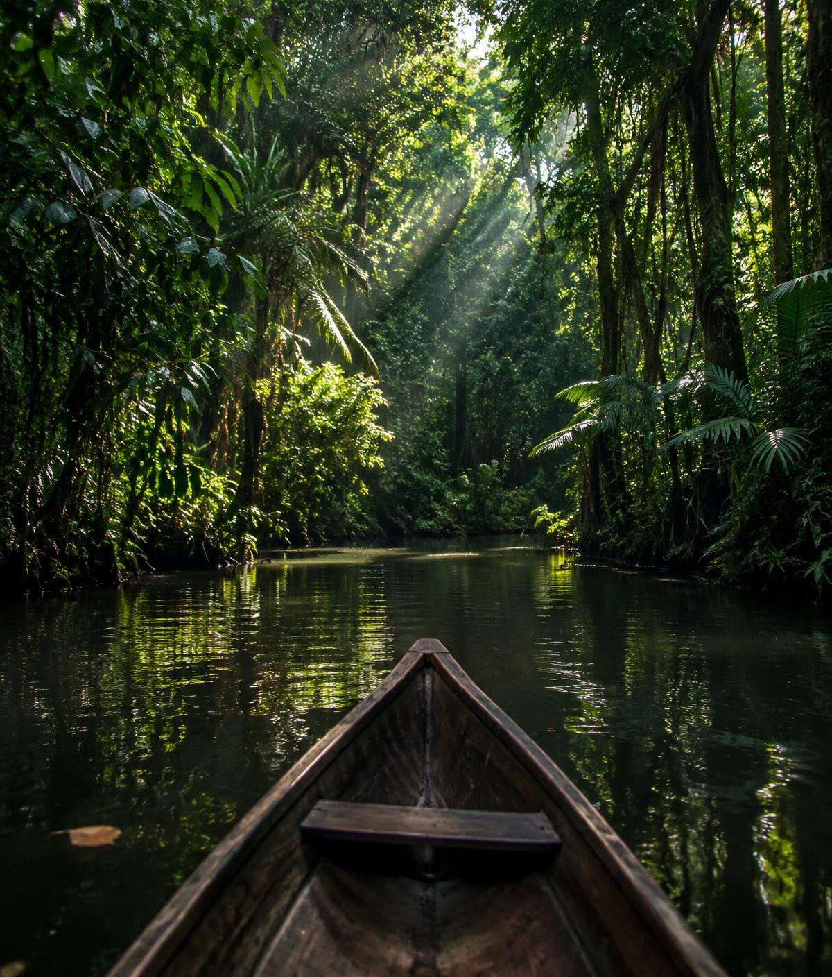 Canal de la selva amazónica